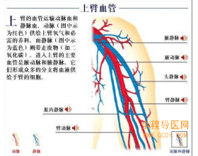 圖解：脈管炎發(fā)生壞疽的臨床癥狀